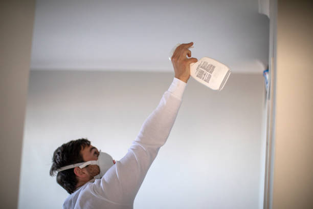 Best Affordable Mold Removal  in East Missoula, MT